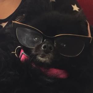 Meet your Posher, Stella